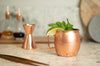 Moscow Mule